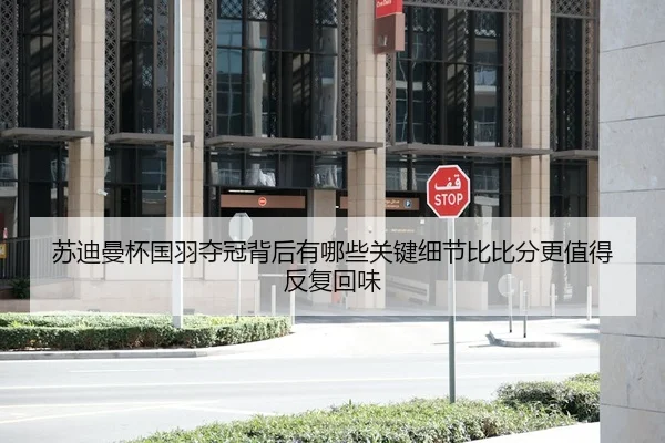 su-di-man-bei-guo-yu-duo-guan-bei-hou-you-na-xie-guan-jian-xi-jie-bi-bi-fen-geng-zhi-de-fan-fu-hui-wei-2-829.jpg