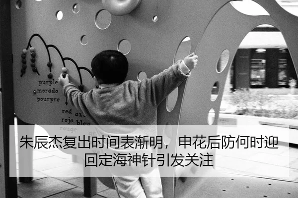 朱辰杰复出时间表渐明，申花后防何时迎回定海神针引发关注